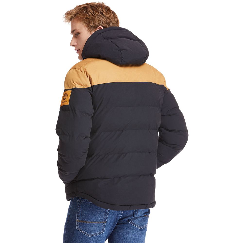 Jaqueta Masculino - Timberland Welch Mountain Warm Inverno - JVHBW5367 - Marrom/Pretas